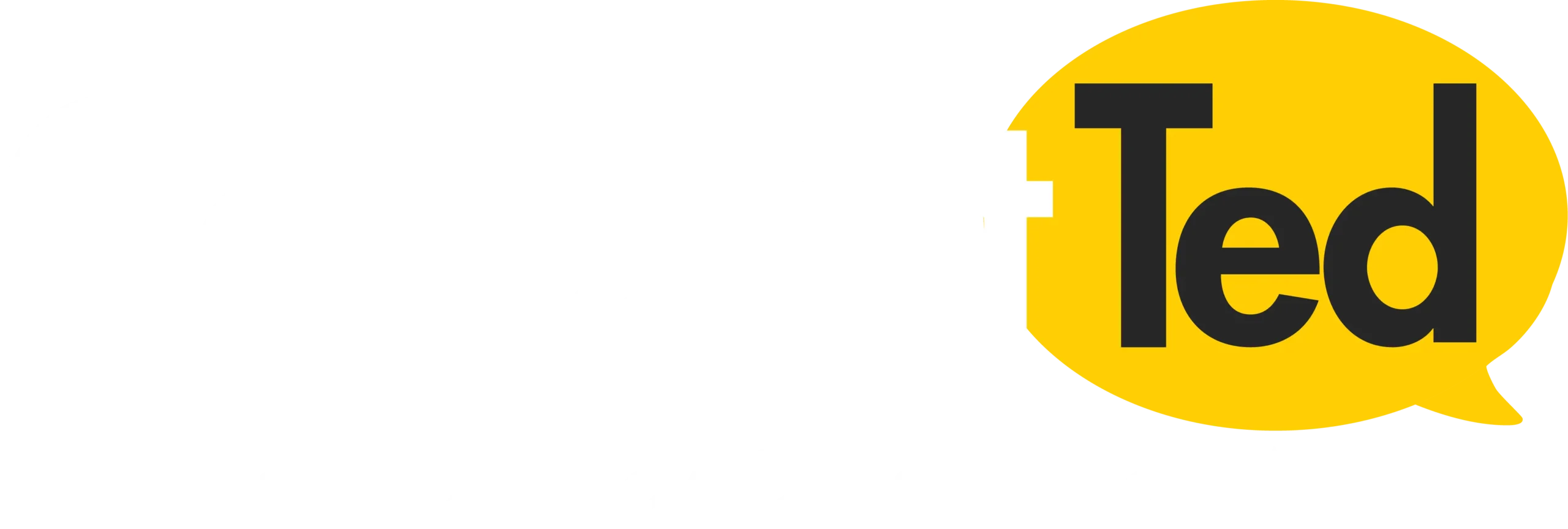 Logo ConsultTed_Main Logo White